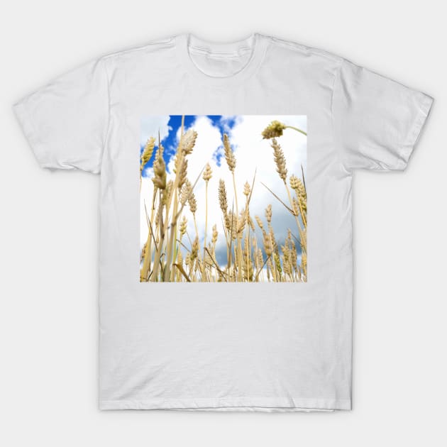 Wheat T-Shirt by ansaharju